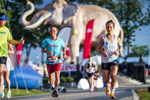 BIB: 
                            <button type="button" onclick="openModal(26541380)" class="btn btn-primary btn-sm float-right btn-popup" data-toggle="modal" data-target=".modal-high-quality">
                        <i class="fas fa-shopping-cart"></i> Add to Cart
                    </button>
                                            <button type="button" onclick="isThisMe(26541380, true)" class="btn btn-success btn-sm float-right btn-popup btn-isme hidden" data-toggle="tooltip" data-placement="bottom" title="นี่คือรูปของคุณใช่ไหม คลิกที่นี่เพื่อเอาเข้าอัลบั้ม">
                        <i class="fas fa-plus"></i> Add to album
                    </button>
                    <button type="button" onclick="isThisMe(26541380, false)" class="btn btn-warning btn-sm float-right btn-popup btn-isnotme hidden">
                        <i class="fas fa-ban"></i> Remove from album
                    </button>